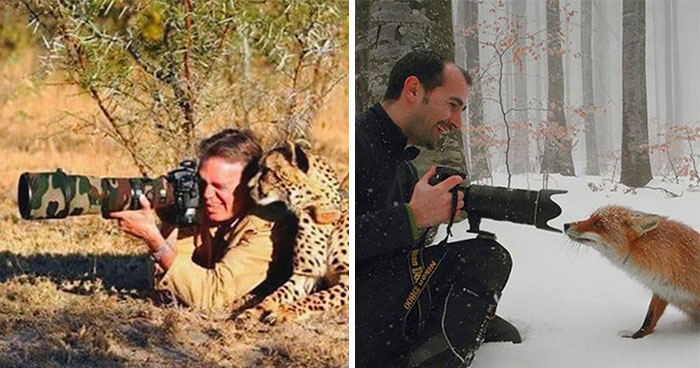 21 Funny Moments When Animals Disturbed Wildlife Photographers At Work