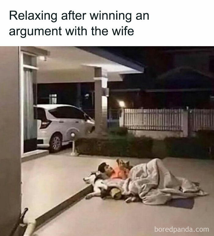 Man resting outside with dogs under a blanket, humorously depicting memes about men and their relationships.