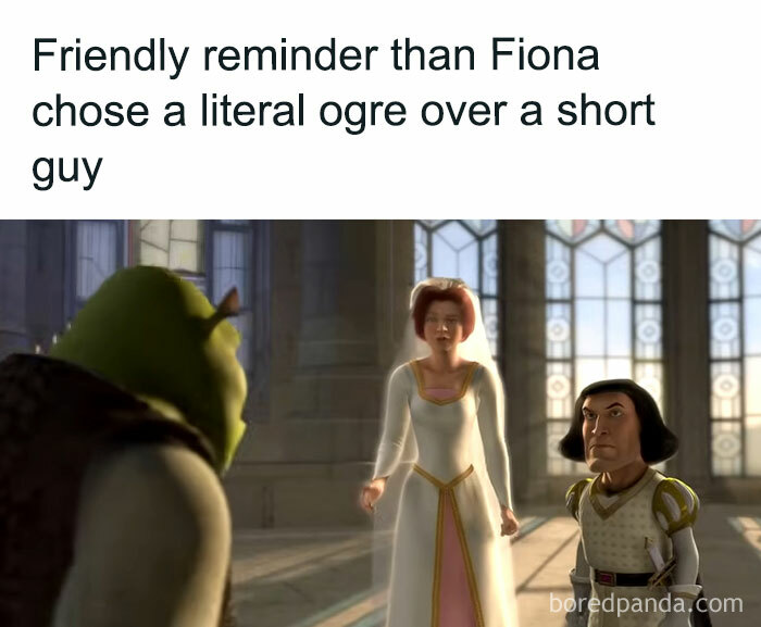Meme about men featuring Shrek, Fiona, and Lord Farquaad with humorous text overlay.