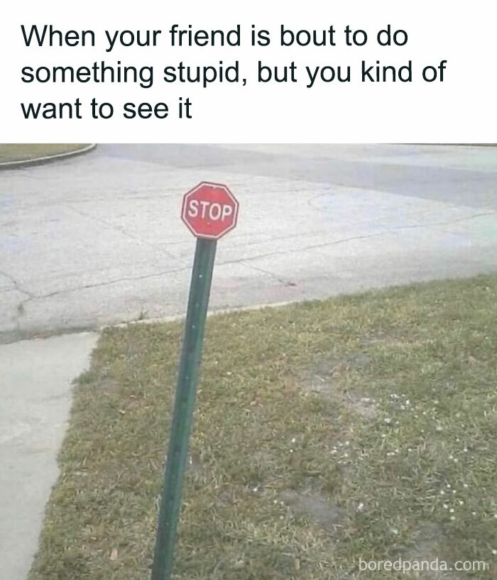 Tiny stop sign meme about men doing silly things, evoking laughter and curiosity.