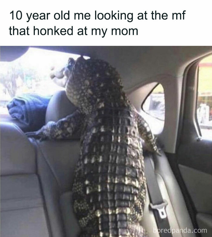 Alligator in car seat humorously captioned for memes about men and protective instincts.