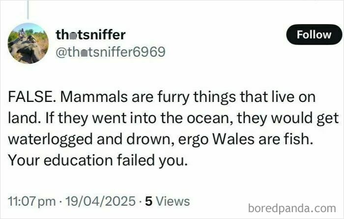 Confidently incorrect tweet about mammals and Wales, humorously highlighting a factual fail.