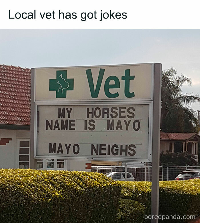 Vet sign with a dad joke: "My horse's name is Mayo, Mayo neighs."