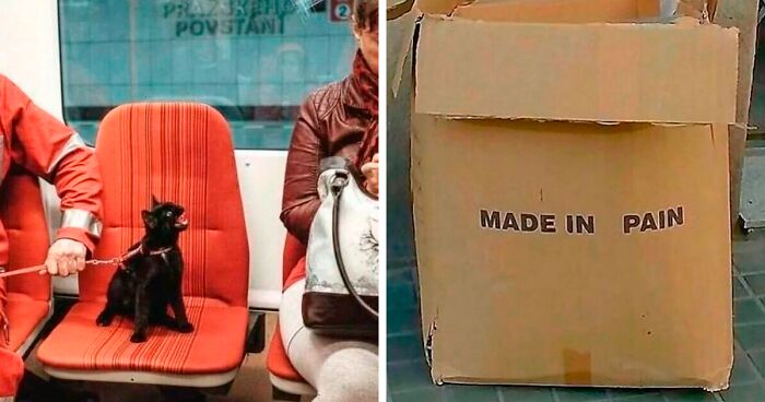 50 Funny, Unhinged And Relatable Memes For Anyone Surviving On Their Last Brain Cell