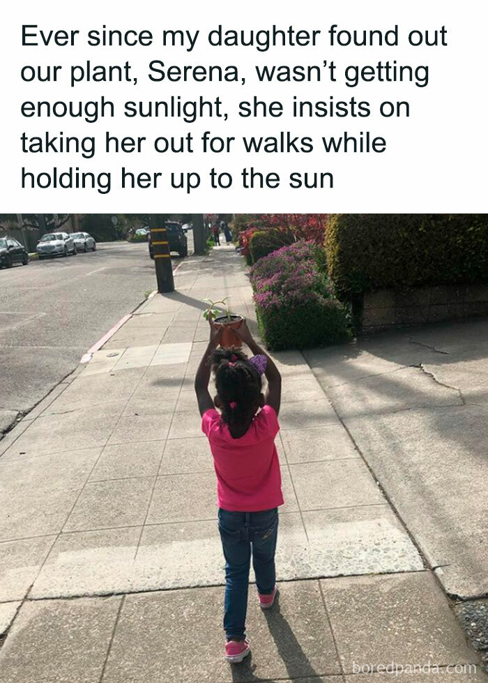 Child walking a potted plant in the sun, illustrating a funny tweet about creative ways to ensure plants get sunlight.