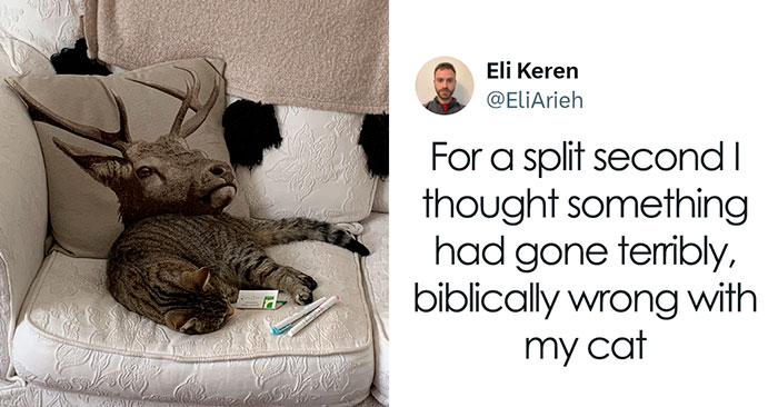 If You Needed A Laugh Today, These 50 Funny Tweets Might Help