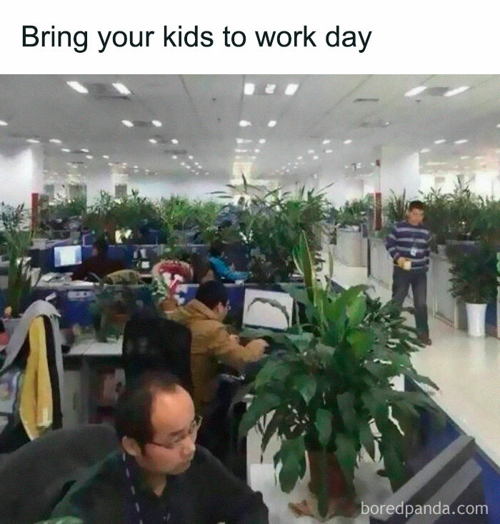 Office filled with plants humorously labeled as kids, capturing a meme for plant owners.