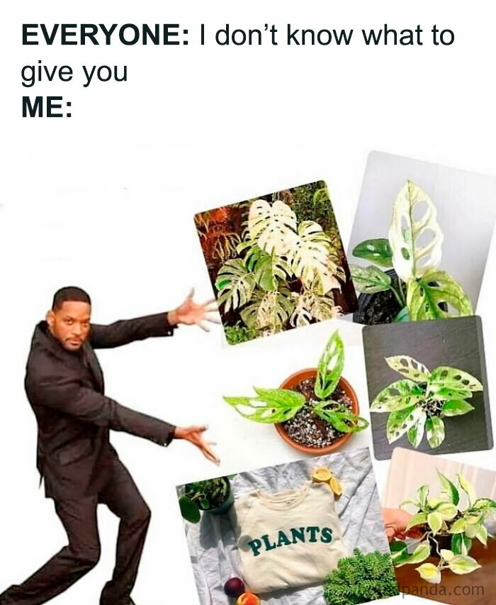 Man humorously presenting various plant images and a "Plants" shirt, relatable meme for plant owners.