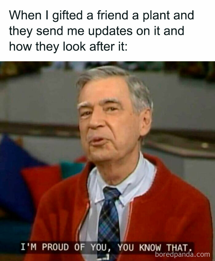 Man in a sweater saying "I'm proud of you," relating to plant owner memes with a friend’s plant care updates.