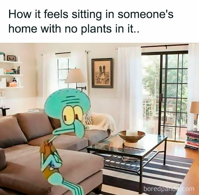 Squidward meme in plant-free living room, capturing plant owner's feelings.