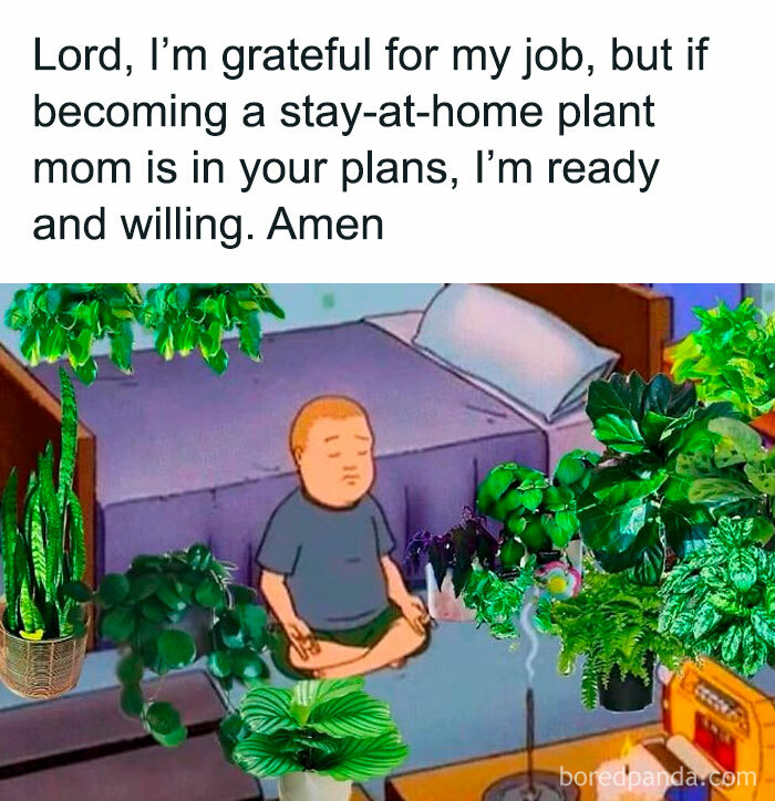 Person meditating among plants, humorously considering becoming a stay-at-home plant owner.