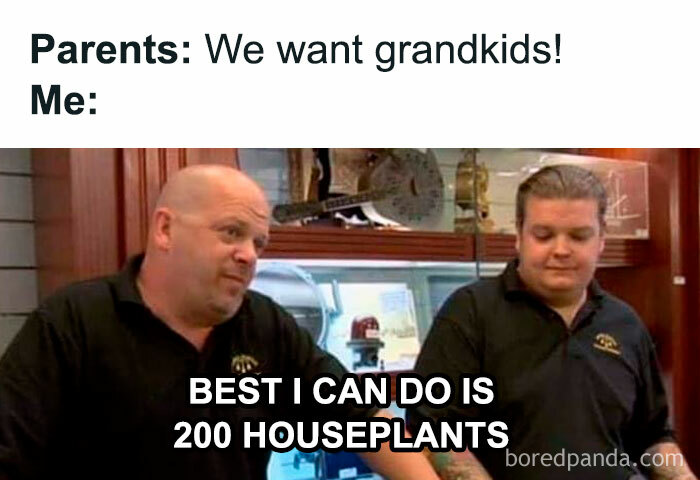 Two people in a store, with text on the image humorously comparing grandkids to 200 houseplants for plant owners.