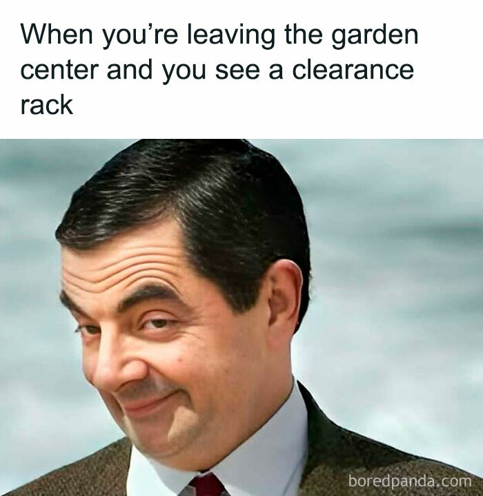 Smirking man reacting to a garden center clearance rack, capturing plant owner humor.