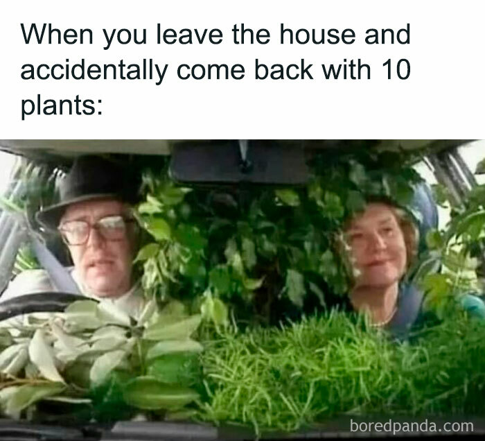 Couple in a car filled with plants, capturing the humor of plant ownership and impulse buying.