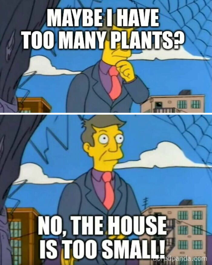 Cartoon character debating over having too many plants, humorous take on plant owners’ challenges.