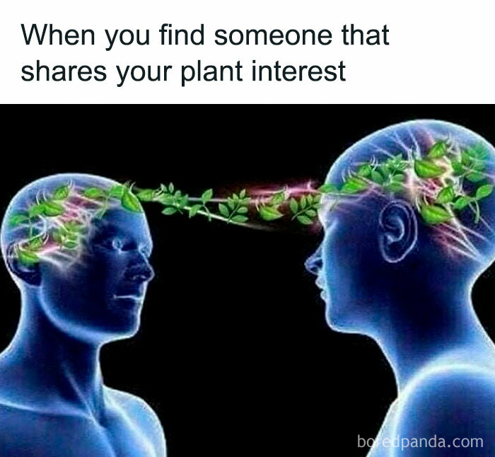 Two figures share a connection through plant-themed brainwaves, symbolizing a bond among plant owners.