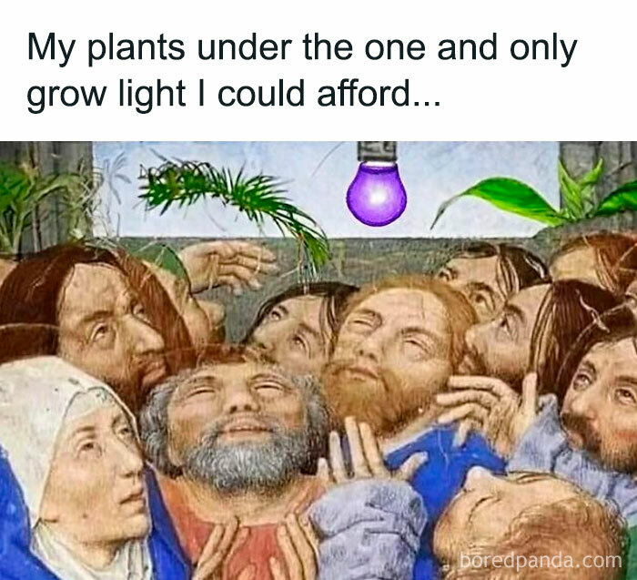 Plant owners humor: people worshipping a purple grow light for indoor plants.