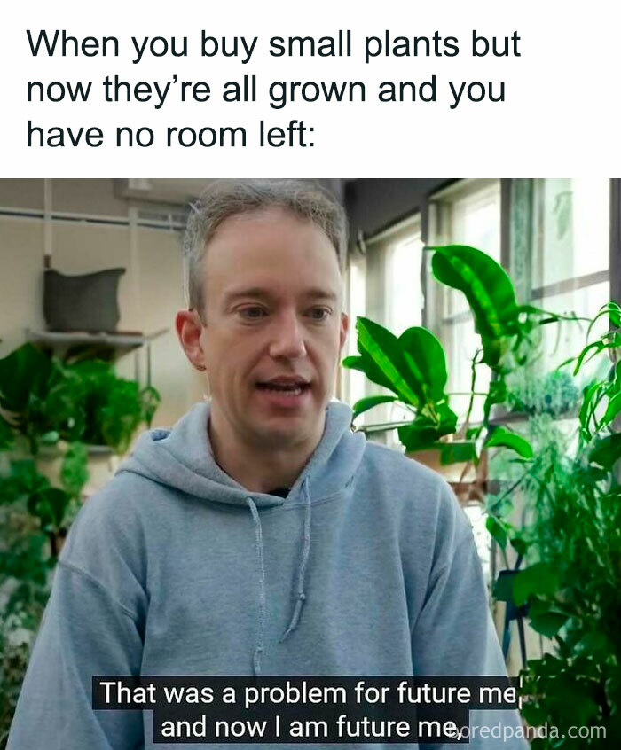 Man in gray hoodie surrounded by plants, text overlay about plant growth dilemma. Plant owner emoji humor.