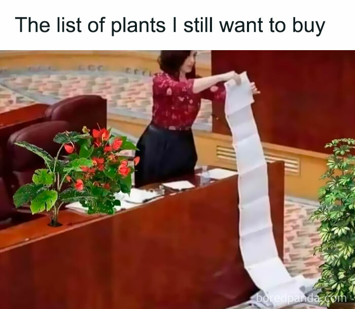 Woman holding a long paper list, surrounded by plants, illustrating the humor of plant ownership.