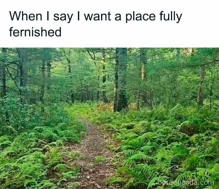 Forest path with dense greenery, humorously depicting "furnished" space, perfect for plant owners.