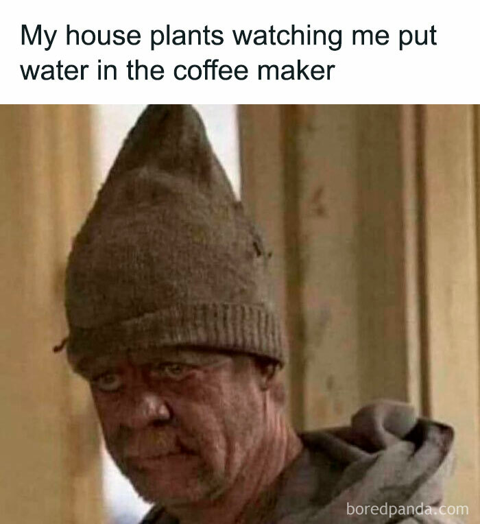 Grumpy man in a hat with caption about houseplants watching a coffee maker.
