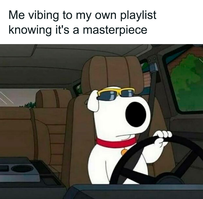 Cartoon dog wearing sunglasses, driving a car, with text about enjoying a personal playlist; perfect funny meme to share.