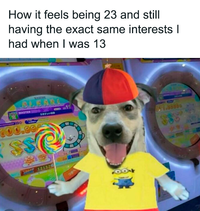 Dog in a colorful cap and Minion shirt holding a lollipop, capturing the humor of unchanged interests over time.