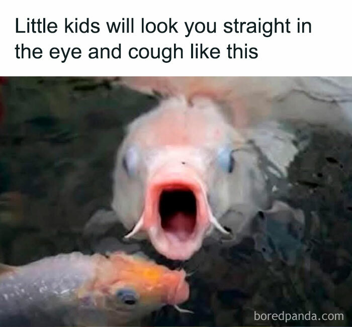 Funny meme with a fish looking directly at the camera with an open mouth, captioned about kids coughing.