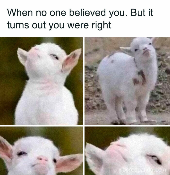 Cute goat striking humorous poses, embodying triumphant satisfaction meme.