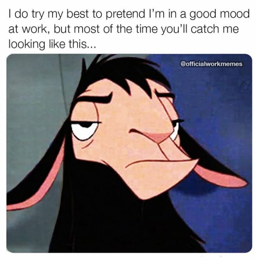 Llama with tired expression, capturing relatable work mood.