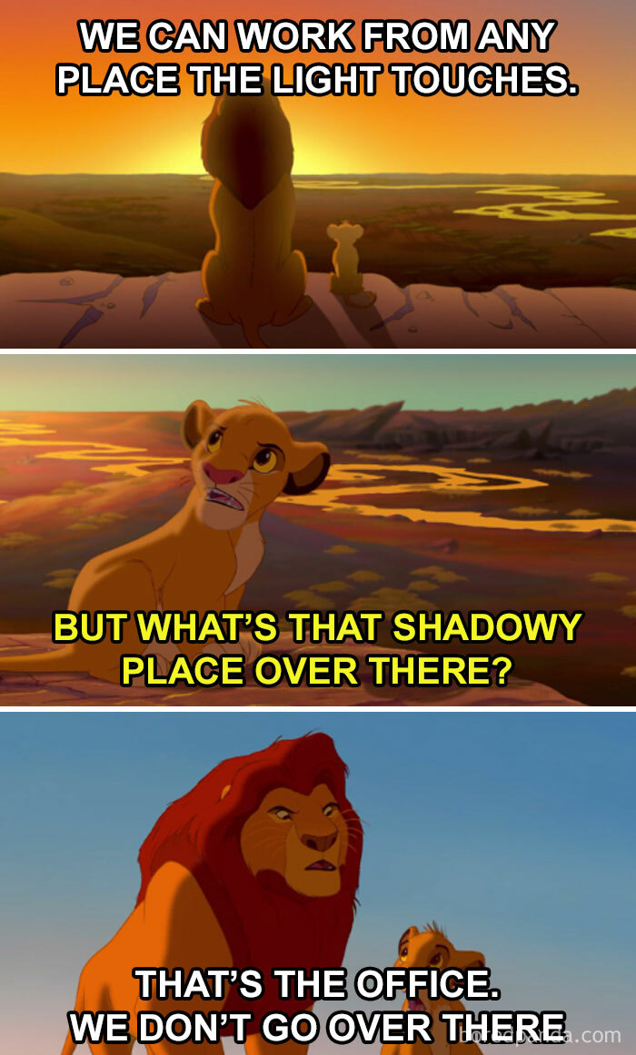 Lion king characters discussing workplace boundaries. Text: "We can work any place the light touches." Shadowy place as office.