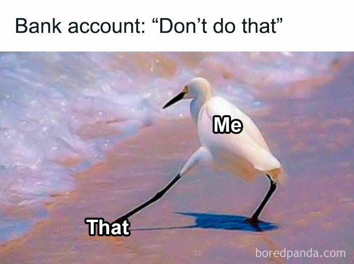 Bird humorously labeled "Me" and "That" on beach. A relatable work meme about spending habits.