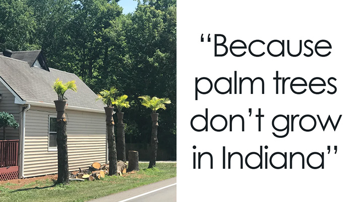 50 Times People Tried To Fix Something And Somehow Made It Worse