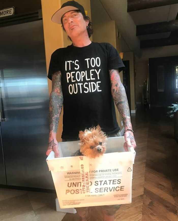 Hombre con camiseta divertida y ridícula sosteniendo caja con perro, ejemplo de camisetas para no usar en público.