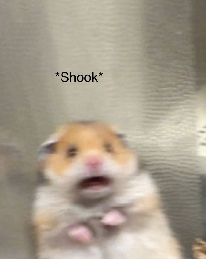 Blurred hamster with caption "shook," reflecting Gen Z slang expression.