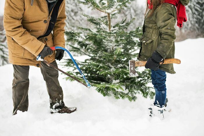 Couple outdoors cutting down a Christmas tree in the snow, highlighting humorous relationship arguments in winter setting.