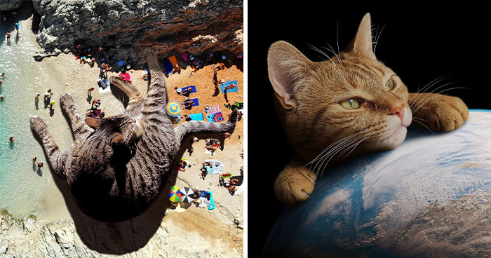 Artist Imagines Surreal Parallel Universe Where Giant Cats Reign, And Here Are 30 New Pieces