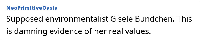 Text criticizing Gisele B&uuml;ndchen's environmental stance, questioning her values.