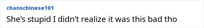 Comment by chanschinese101 calling someone "stupid," expressing surprise about the extent of perceived ignorance.