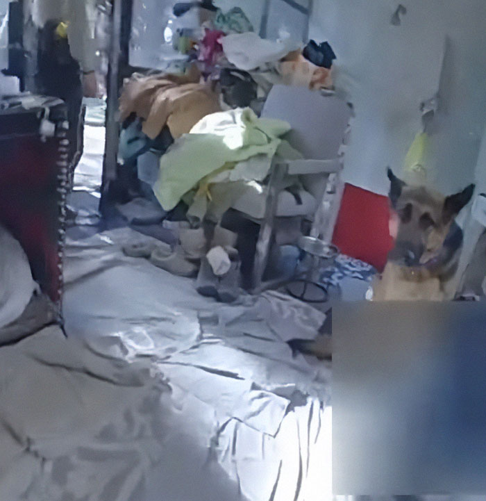 Police footage shows a dog watching over a cluttered room, emphasizing the scene's somber tone.