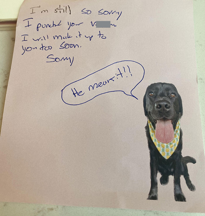 Funny note with dog sticker and apology, making life amusing for partners.