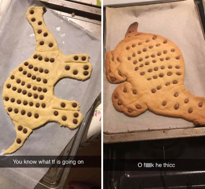 Dinosaur-shaped cookie dough before and after baking, showing a humorous baking mishap.