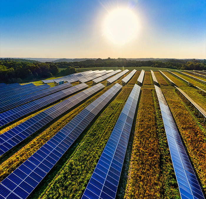 Solar panels in a vast field, under a bright sun, suggesting future energy predictions.