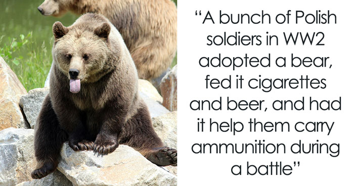 “Grasshoppers Are Older Than Both Grass And Dinosaurs”: 24 Real Historical Facts That Seem Fake