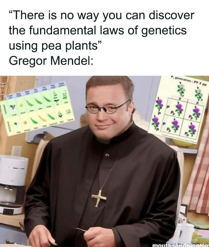 Man dressed as a priest smirking with graphics of pea plant genetics, a history memes reference for entertaining content.