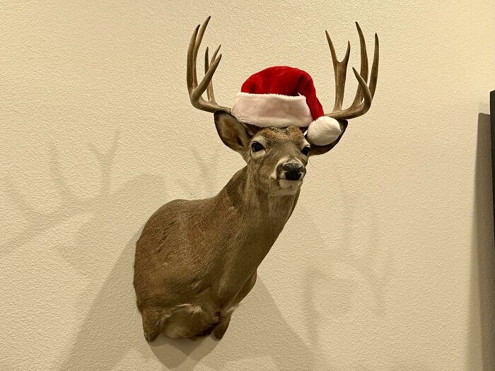 Deer head mounted on wall wearing a red Santa hat, illustrating quirky and ridiculous relationship arguments humorously.