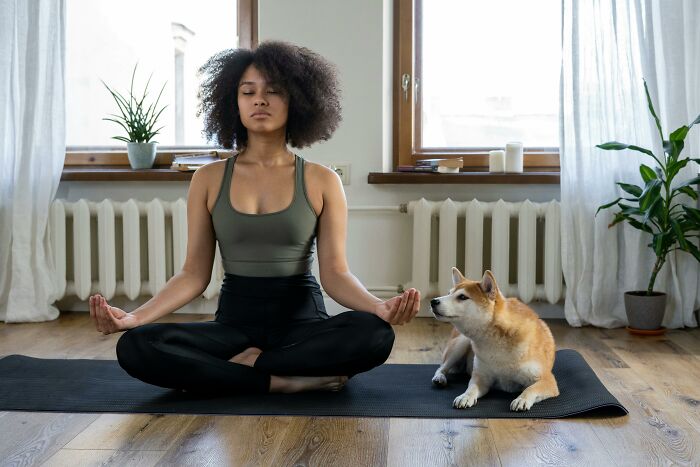 Person meditating with a dog in a serene home setting, illustrating homeowner first home tips.
