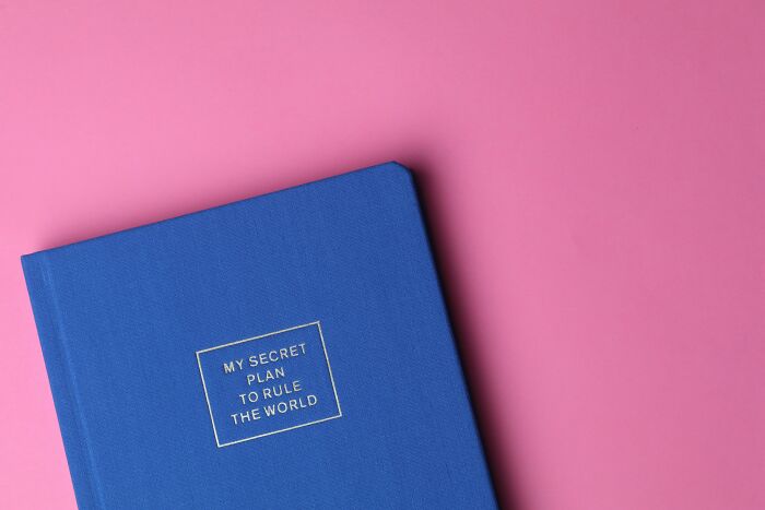 Blue planner on pink background labeled “My Secret Plan to Rule the World”; related to unpopular opinions.