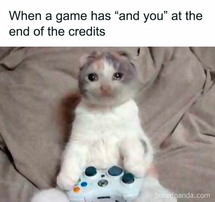 Cute cat holding a game controller, with text about credits, embodying the humor of speaking fluent sarcasm.