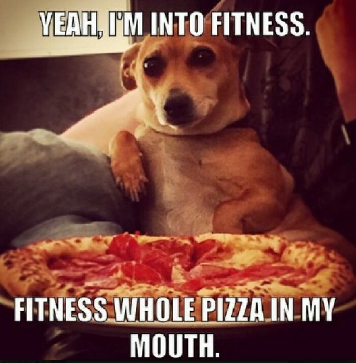 Dog with a pizza and a sarcastic caption about fitness as food.
